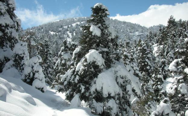 La Churrera Casa Rural Yunquera Bagian luar foto
